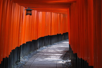 Fototapeta premium Fushimi Inari-taisha Shrine Kyoto Japan Architecture Orange torii gates Tunnel