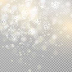 Bokeh light gray sparkles on transparency background Glowing particles element for special effects.Vector illustration