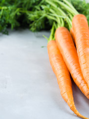 Fresh organic carrots on gray background. Vertical