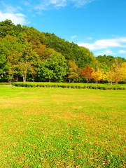 秋の公園風景