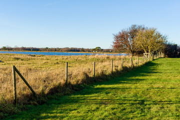 Obraz premium Coastal landscape in fall with barbed wire fencing crossing the picture. Kristianopel in south eastern Sweden.