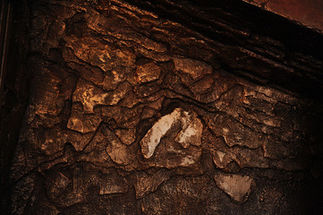 Texture of old stone wall