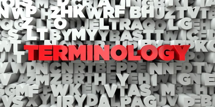 TERMINOLOGY -  Red text on typography background - 3D rendered royalty free stock image. This image can be used for an online website banner ad or a print postcard.