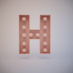 3d rendering pink bulb type H