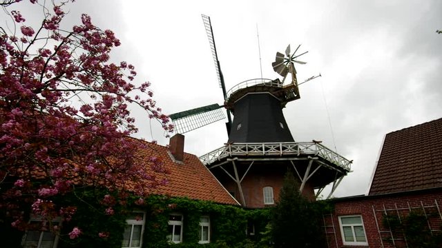 Esens Windmuehle vid 01