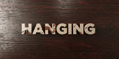 Hanging - grungy wooden headline on Maple  - 3D rendered royalty free stock image. This image can be used for an online website banner ad or a print postcard.