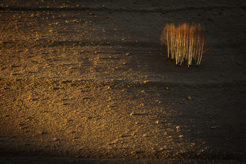 Rural landscape from Romania in Carpathian Mountains..
