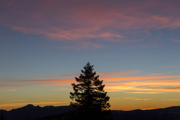 Christmas winter background with fir tree and colorful clouds at