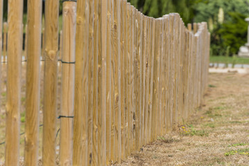 Fototapeta premium Line of wood poles.