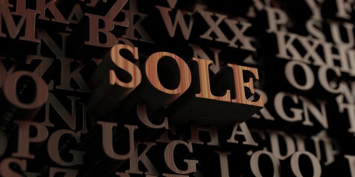 Sole - Wooden 3D rendered letters/message.  Can be used for an online banner ad or a print postcard.