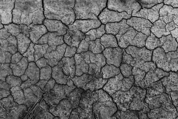 Dry land texture.