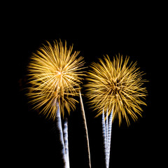  fireworks