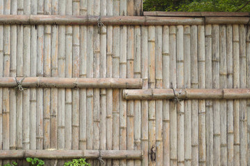 Bamboo fence