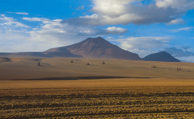 Desert and mountain over blue sky and white clouds on Altiplano,Bolivia Chile