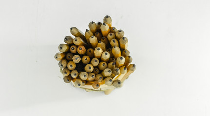 pencils on white background