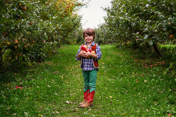 Boy in an orchard carrying apples