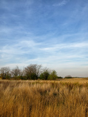 Obraz premium Autumn scenery with stubble-field.