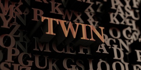 Twin - Wooden 3D rendered letters/message.  Can be used for an online banner ad or a print postcard.