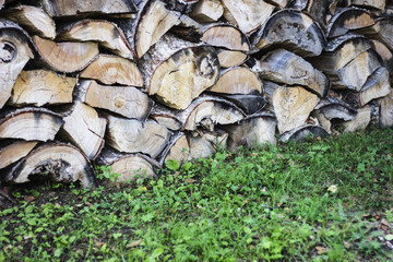 High texture firewood background. High contrast bark of tree in