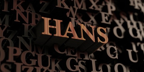 Hans - Wooden 3D rendered letters/message.  Can be used for an online banner ad or a print postcard.