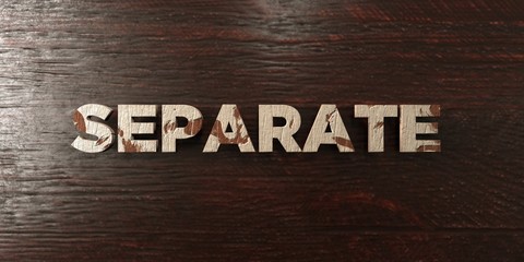 Fototapeta premium Separate - grungy wooden headline on Maple - 3D rendered royalty free stock image. This image can be used for an online website banner ad or a print postcard.