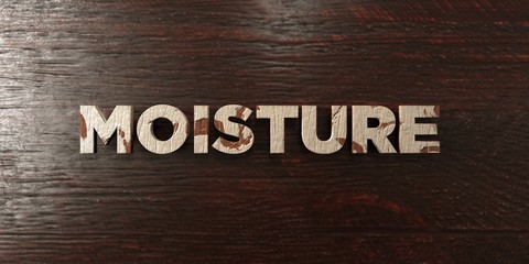 Moisture - grungy wooden headline on Maple  - 3D rendered royalty free stock image. This image can be used for an online website banner ad or a print postcard.