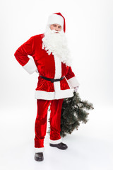 Man santa claus standing and holding christmas tree