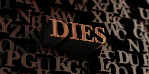 Dies - Wooden 3D rendered letters/message.  Can be used for an online banner ad or a print postcard.