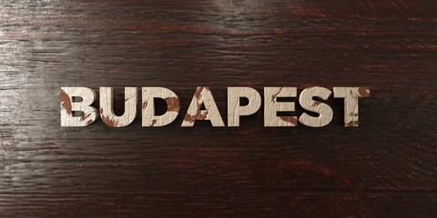Budapest - grungy wooden headline on Maple  - 3D rendered royalty free stock image. This image can be used for an online website banner ad or a print postcard.
