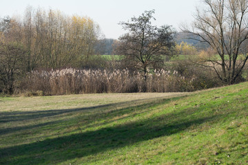 Auenlandschaft zwischen Köln und Düsseldorf
