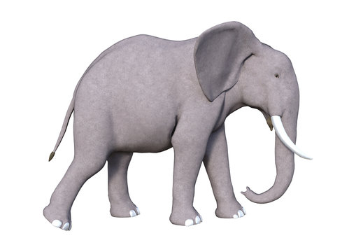 3D Rendering Elephant on White