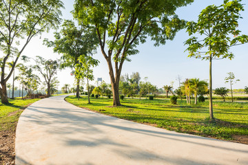 Fototapeta na wymiar Landscape with jogging track at green park , Jogging track in the plubblic garden