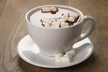 cup of homemade hot chocolate with marshmallows, shallow focus