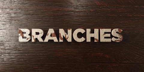 Branches - grungy wooden headline on Maple  - 3D rendered royalty free stock image. This image can be used for an online website banner ad or a print postcard.