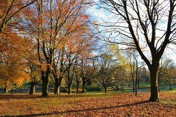 A colourful late Autumn landscape.