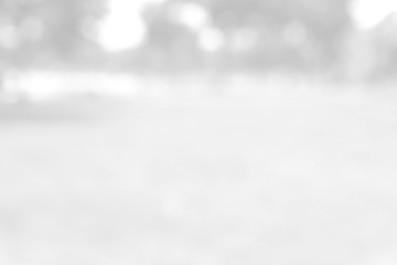 White blurred abstract background / grey abstract background. soft backdrop of nature abstract background. used for wallpaper or background.