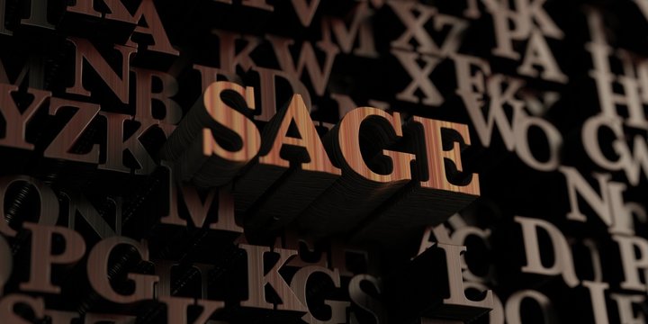 Sage - Wooden 3D rendered letters/message.  Can be used for an online banner ad or a print postcard.