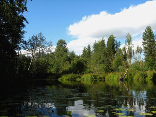Fototapeta na wymiar Atsvezh River in Kirov oblasti.Rossiya.