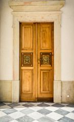 Vintage wooden double door