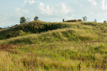 Obraz premium Beautiful mountain peaks covered with forest and green grass on