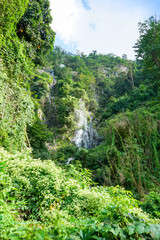 Fototapeta na wymiar waterfall in the forest in thailand