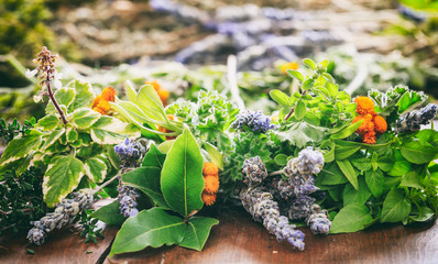 Variety of herbs on wooden background