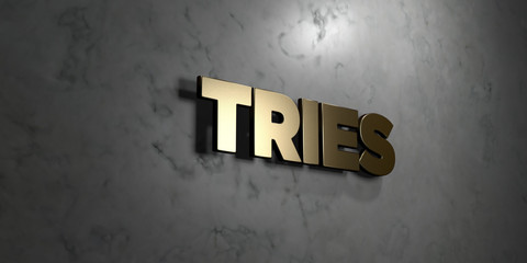 Tries - Gold sign mounted on glossy marble wall  - 3D rendered royalty free stock illustration. This image can be used for an online website banner ad or a print postcard.