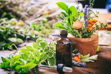 Variety of herbs and mortar on wooden background © Rawf8