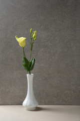 Fresh lisianthus in white vase