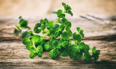 Foto op Plexiglas Fresh oregano twig on wooden background © Rawf8