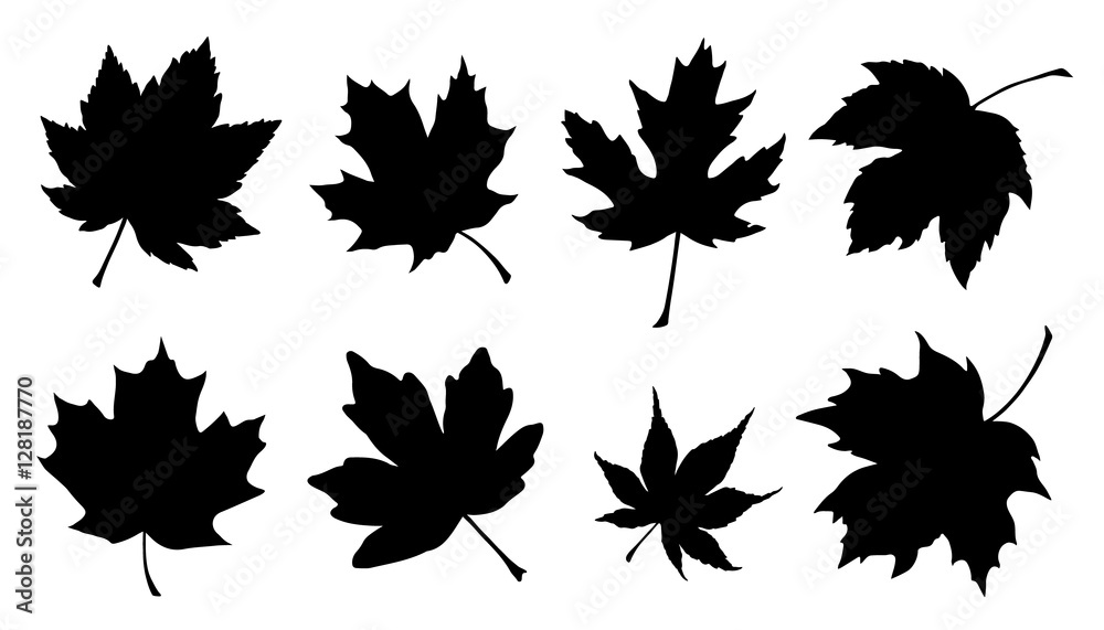 Wall mural maple leaf silhouettes