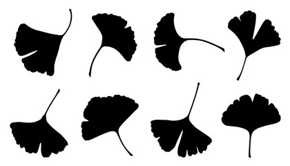 ginkgo leaf silhouettes - obrazy, fototapety, plakaty