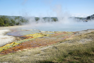 hot spring, yellowstone, USA