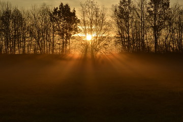 Sunrise with morning fog